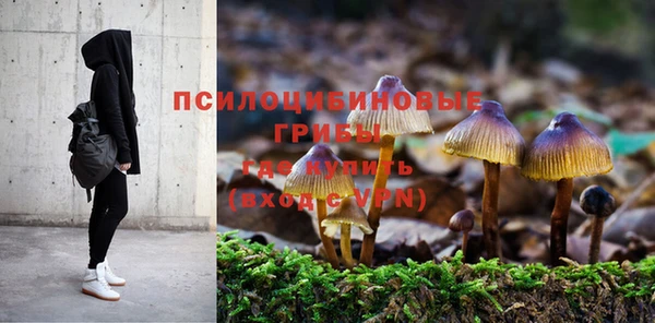 амф Абдулино