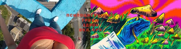 ПСИЛОЦИБИНОВЫЕ ГРИБЫ Алексеевка
