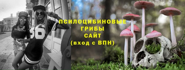 Альфа ПВП Абаза