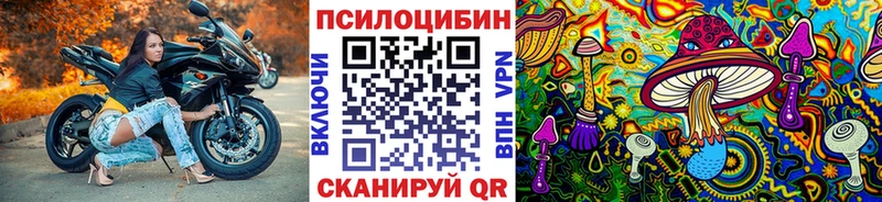 kraken зеркало  Подпорожье  Псилоцибиновые грибы MAGIC MUSHROOMS  где купить наркоту 